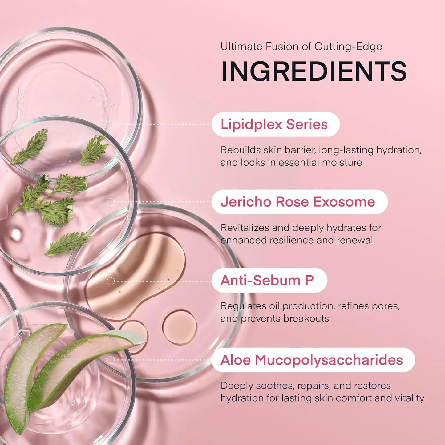 Terez & Honor Overnight Collagen Face Mask: Korean Deep Collagen Sheet Mask - Best Glow, Hydrating, Firming Anti-Aging Treatment for Smooth and Radiant Skin - Sleeping Mask Gentle for Sensitive Skin